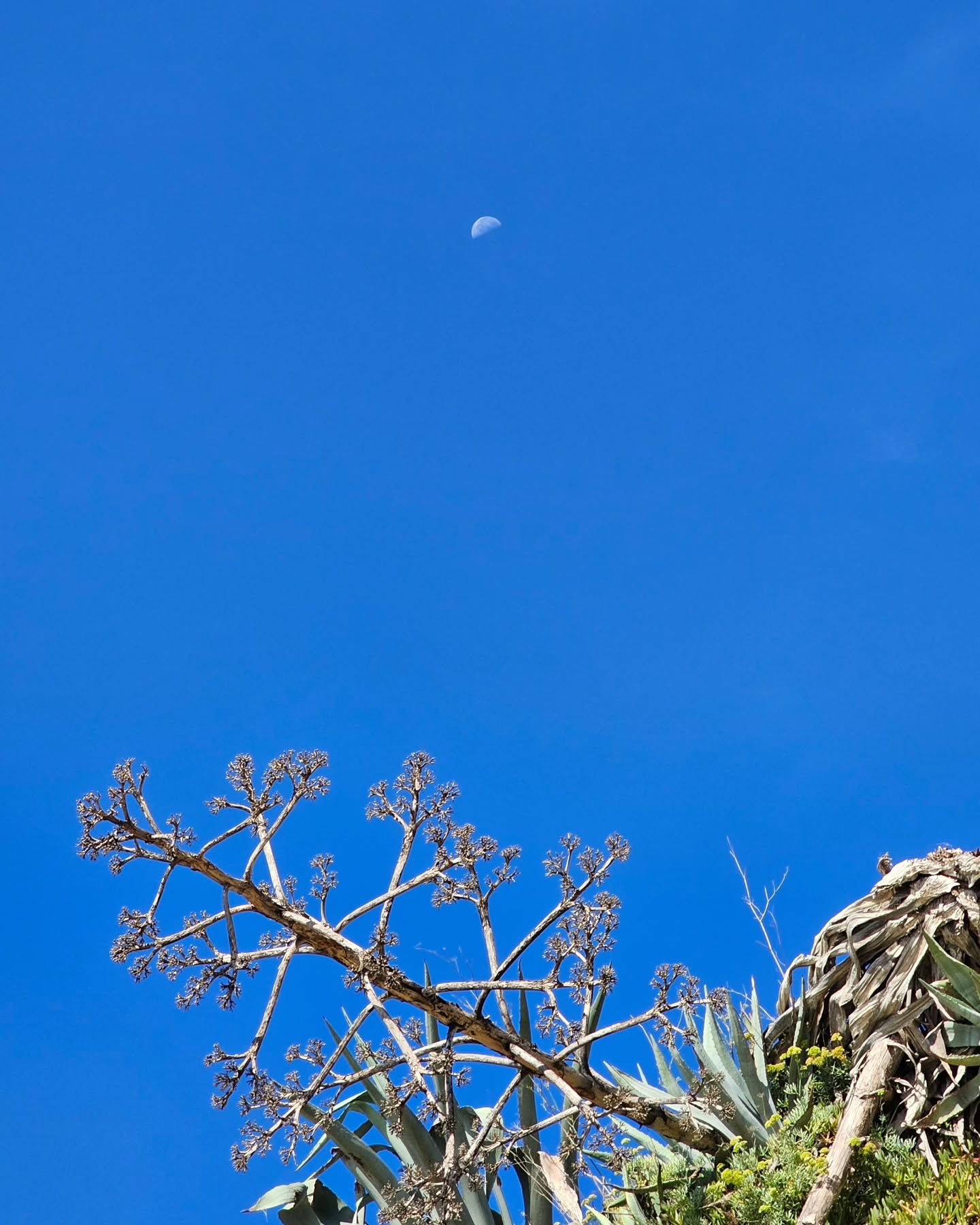 Surf yoga mediatation blue mind retreat travel sri lanka srilanka portugal best retreat best place to go