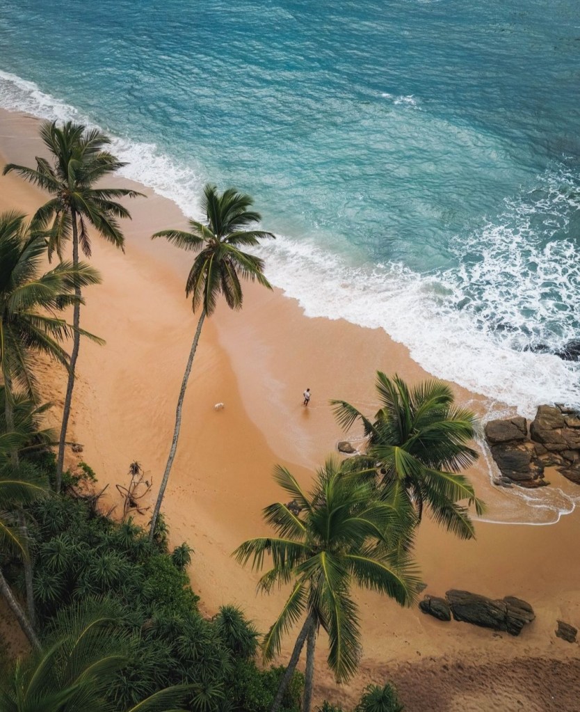 Surf yoga mediatation blue mind retreat travel sri lanka srilanka portugal best retreat best place to go