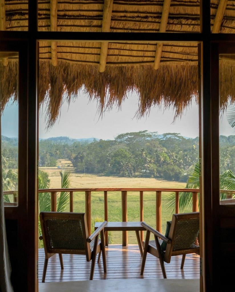 Surf yoga mediatation blue mind retreat travel sri lanka srilanka portugal best retreat best place to go