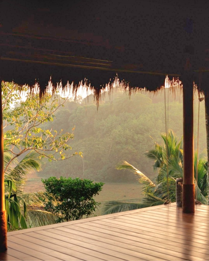 Surf yoga mediatation blue mind retreat travel sri lanka srilanka portugal best retreat best place to go