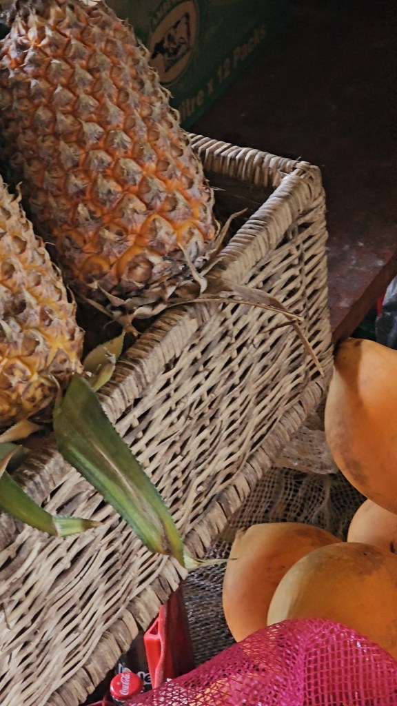 Surf yoga mediatation blue mind retreat travel sri lanka srilanka portugal best retreat best place to go