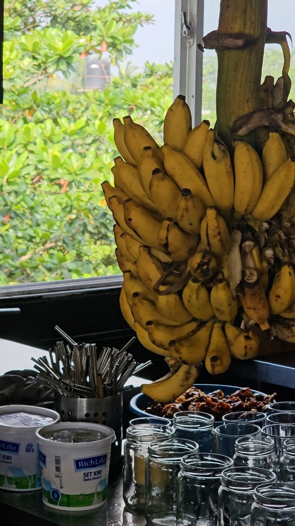 Surf yoga mediatation blue mind retreat travel sri lanka srilanka portugal best retreat best place to go