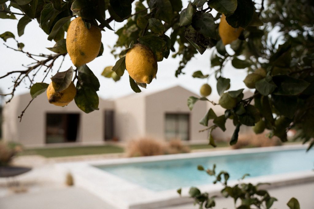 Portugal retreat surf retraite yoga blue mind travel outdoor nature best place must go